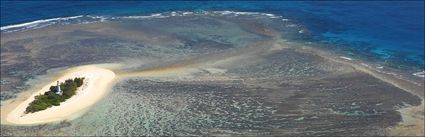 North Reef - QLD (PBH4 00 18445)